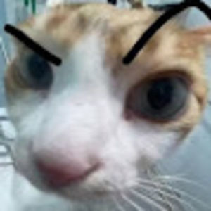 Meet your Posher, Sid